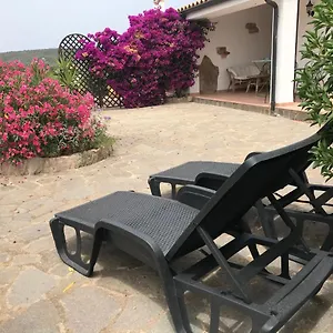 Studio Apartments-ucuppu Casa vacanze Carloforte (Isola di San Pietro)